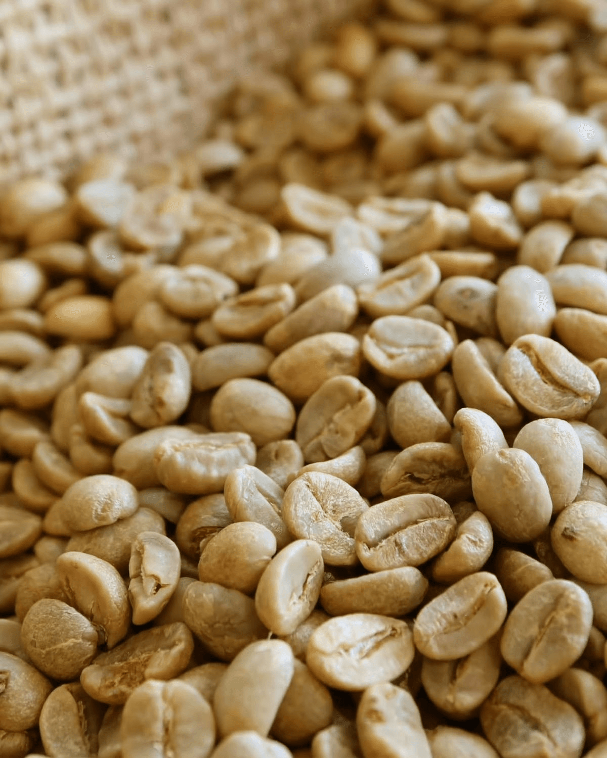 Coffee beans background